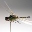 black hornets nano bugs and spy flies