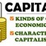 capitalist economic system kinds 10