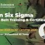 lean six sigma green belt training