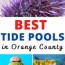 10 best tide pools in orange county