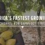 africa s fastest growing economies how