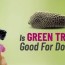 is green tripe good for your dog