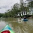 paddling the green river hart county