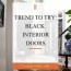 5 reasons to have black interior doors