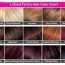 hair extension colours for lighter skin
