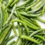 how to freeze green beans and how to