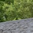 new roof performance roofing orlando fl