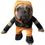 green bay packers pet costume at the
