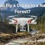 fly a drone in a national forest