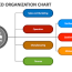 centralized organization chart