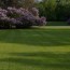 go green lawn solutions louisville ky