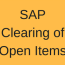 sap clearing of open items automatic