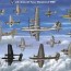 us army airplanes of world war ii poster