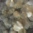does cleaning mold from carpet work