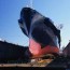 dry docking and ship repair