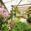 the 8 best garden centers and nurseries