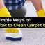 5 simple ways on how to clean carpet by