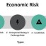 economic risk definition example