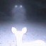 experts explain deer cam ufo