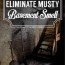 eliminate musty smell in basement