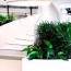 indoor plants and interior landscaping