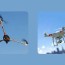 tricopter vs quadcopter 2023 which is