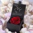 preserved roses zodiac signs and love